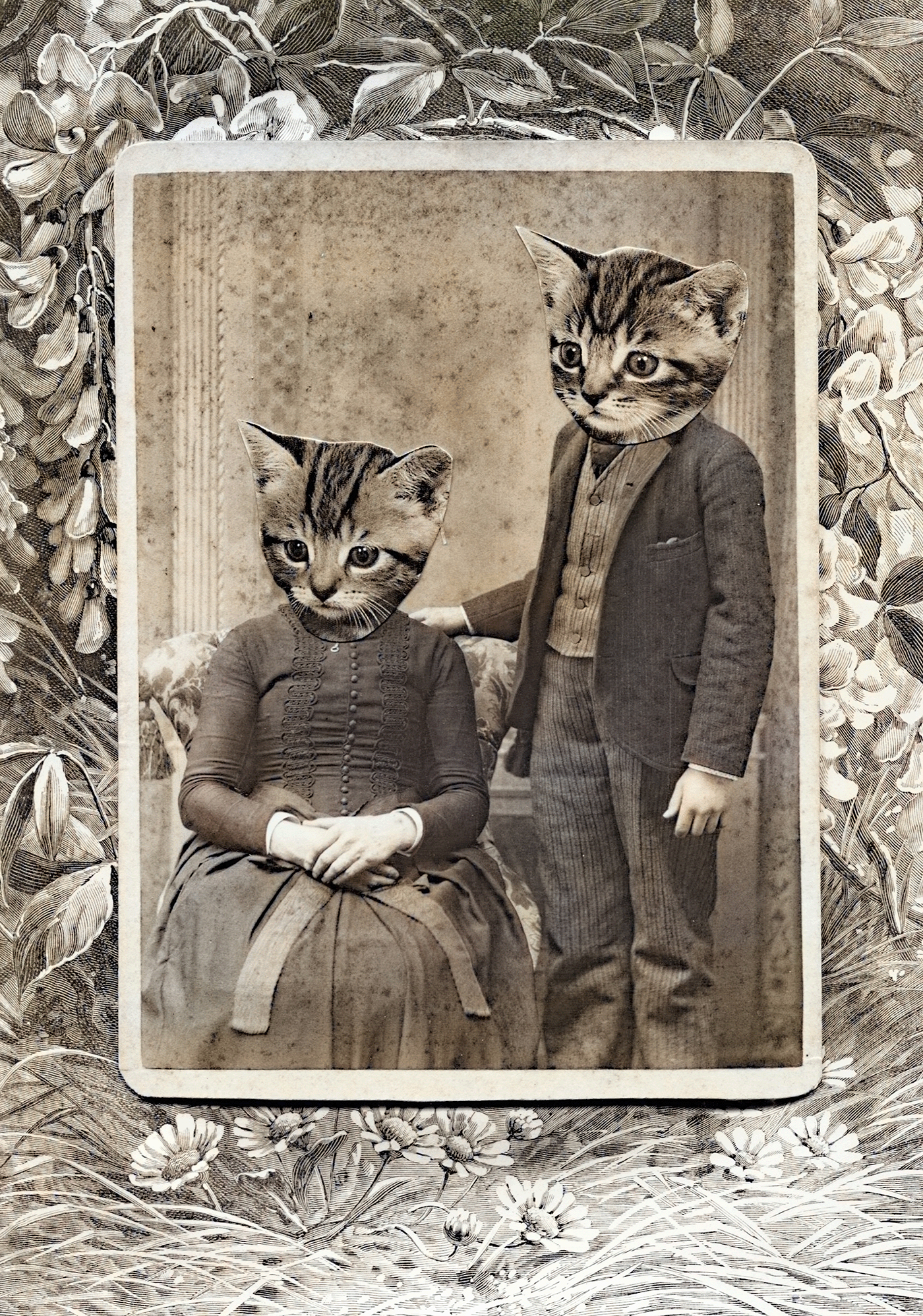 Cat Couple by Jessie Lawson